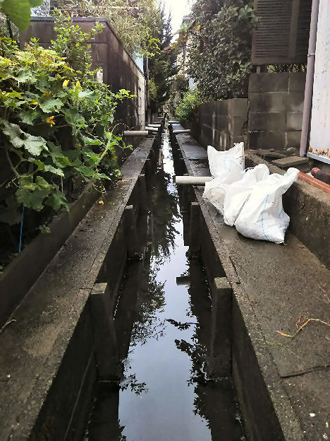 20210926 ditch cleaning.jpg